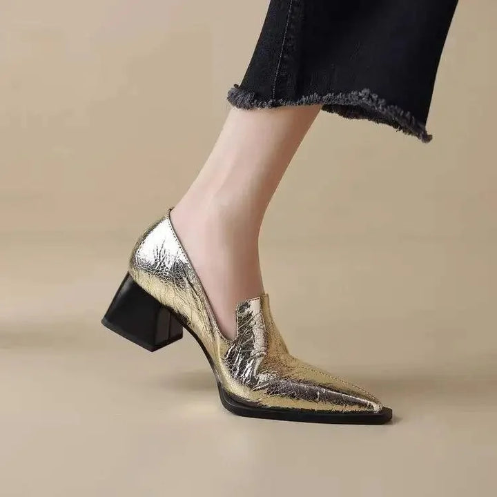 Pointed Toe Chunky Heel Shoes