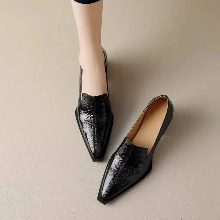Pointed Toe Chunky Heel Shoes