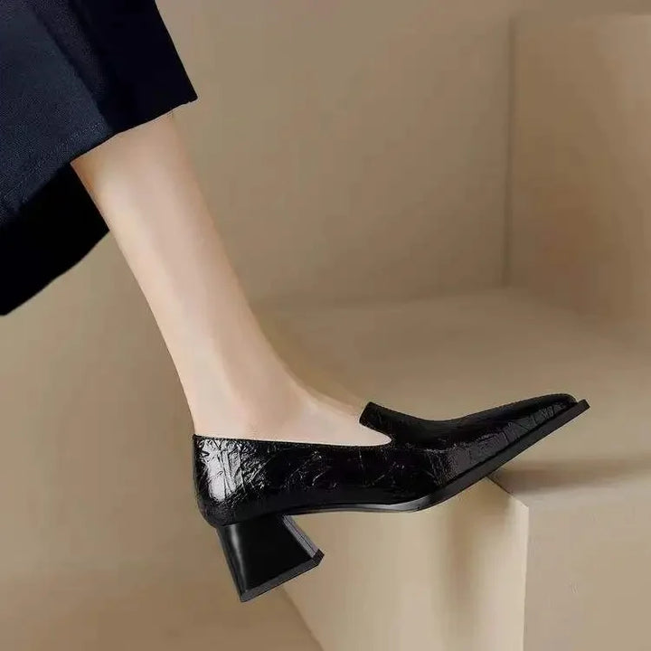 Pointed Toe Chunky Heel Shoes