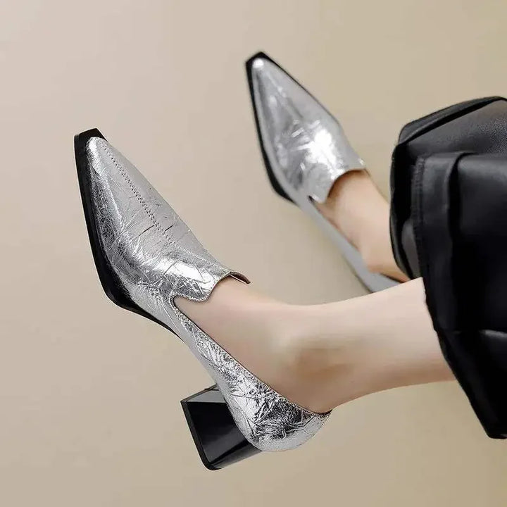 Pointed Toe Chunky Heel Shoes