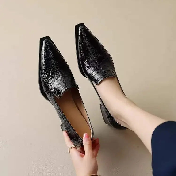 Pointed Toe Chunky Heel Shoes
