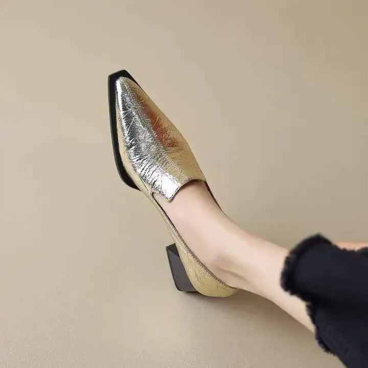 Pointed Toe Chunky Heel Shoes
