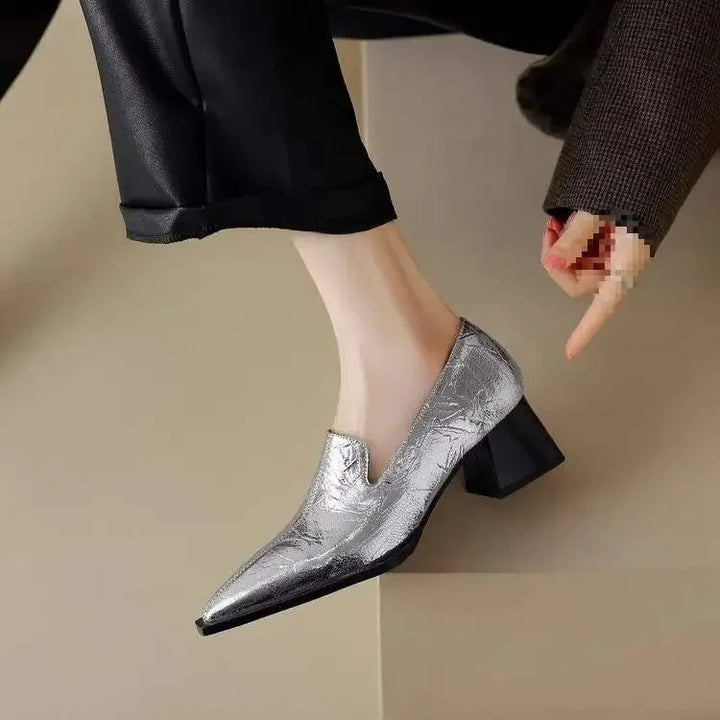 Pointed Toe Chunky Heel Shoes