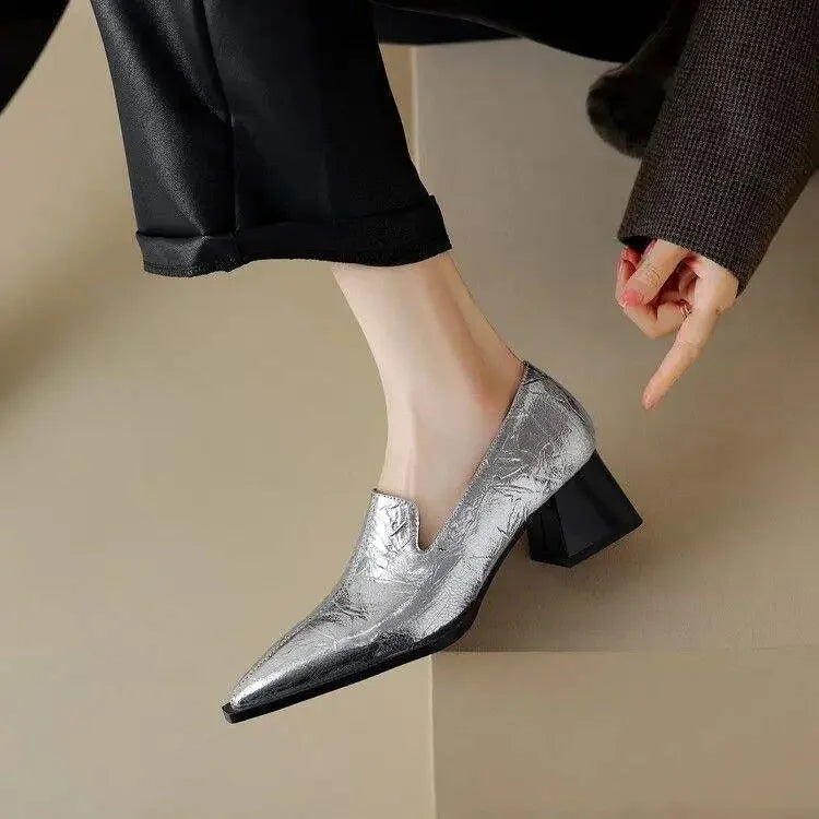 Pointed Toe Chunky Heel Shoes